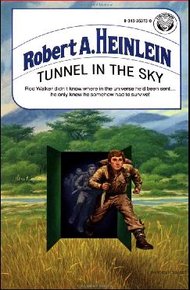 Обложка книги Туннель в небе