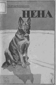 Обложка книги Нена