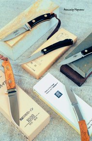 Обложка книги Японские точильные камни