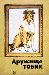 Обложка книги Пират