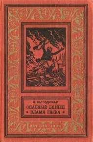 Обложка книги Пламя гнева