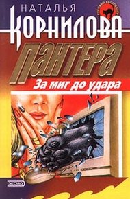 Обложка книги За миг до удара