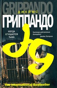 Обложка книги Когда сгущается тьма