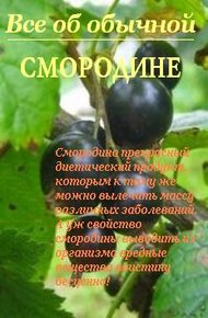 Обложка книги Все об обычной смородине