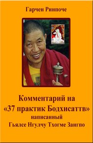 Обложка книги Комментарий на «37 практик Бодхисаттв»