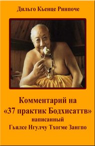 Обложка книги Комментарий на «37 практик Бодхисаттв»