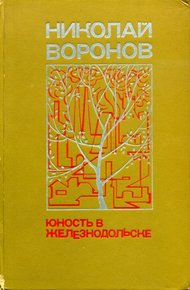 Обложка книги Юность в Железнодольске