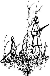 Обложка книги Шесть дней в лесах