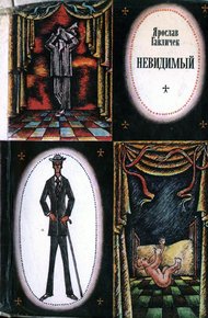Обложка книги Невидимый