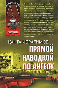 Обложка книги Прямой наводкой по ангелу