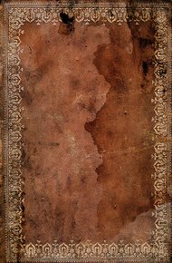 Обложка книги Дневник княгини Варвары Туркестановой, фрейлины Ее Императорского Величества Марии Фёдоровны, за 1818 год.