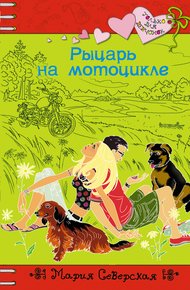 Обложка книги Рыцарь на мотоцикле
