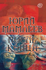 Обложка книги После конца