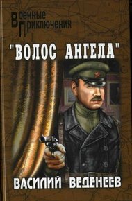 Обложка книги «Волос ангела»