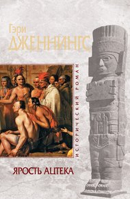 Обложка книги Ярость ацтека