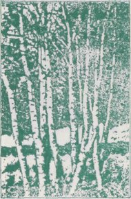 Обложка книги Зеленая книга леса
