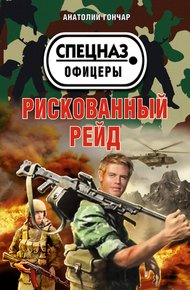 Обложка книги Рискованный рейд