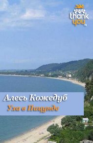 Обложка книги Уха в Пицунде