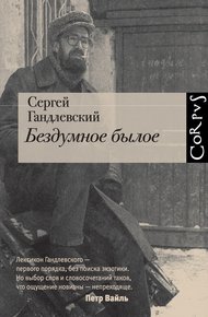 Обложка книги Бездумное былое