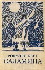 Обложка книги Саламина