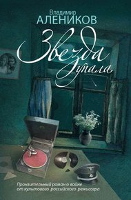 Обложка книги Звезда упала