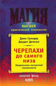 Обложка книги Черепахи до самого низа. Предпосылки личной гениальности