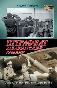 Обложка книги Штрафбат. Закарпатский гамбит