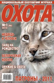 Обложка книги Рыжая гостья из города