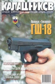 Обложка книги Правнук «Токарева»