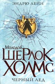 Обложка книги Черный лед