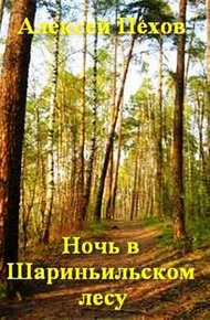 Обложка книги Ночь в Шариньильском лесу