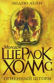 Обложка книги Огненный шторм