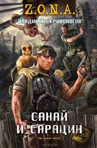 Обложка книги Санай и Сарацин