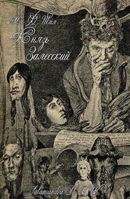 Обложка книги Князь Залесский