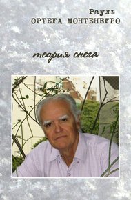 Обложка книги Теория снега
