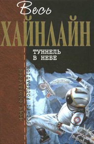 Обложка книги Туннель в небе