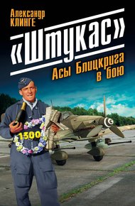 Обложка книги «Штукас». Асы Блицкрига в бою