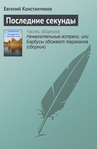 Обложка книги Последние секунды