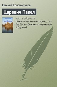 Обложка книги Царевич Павел