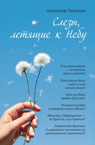 Обложка книги Слезы, летящие к небу