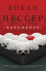 Обложка книги Карамболь