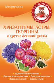 Обложка книги Хризантемы, астры, георгины и другие осенние цветы