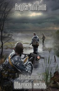 Обложка книги Обычная жизнь