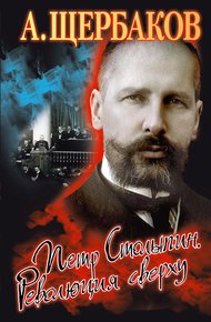 Обложка книги Петр Столыпин. Революция сверху