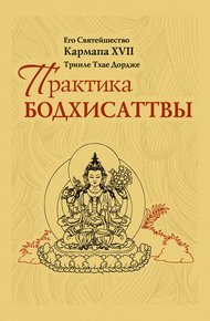 Обложка книги Практика Бодхисаттвы