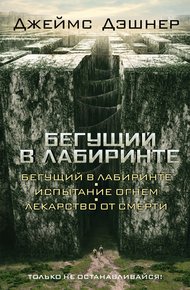 Обложка книги Бегущий в Лабиринте