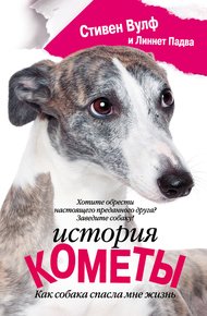 Обложка книги История Кометы