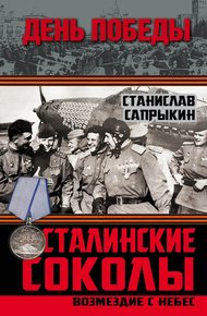 Обложка книги Сталинские соколы