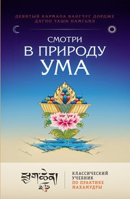 Обложка книги Смотри в природу ума. Классический учебник по практике Махамудры