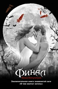 Обложка книги Финал